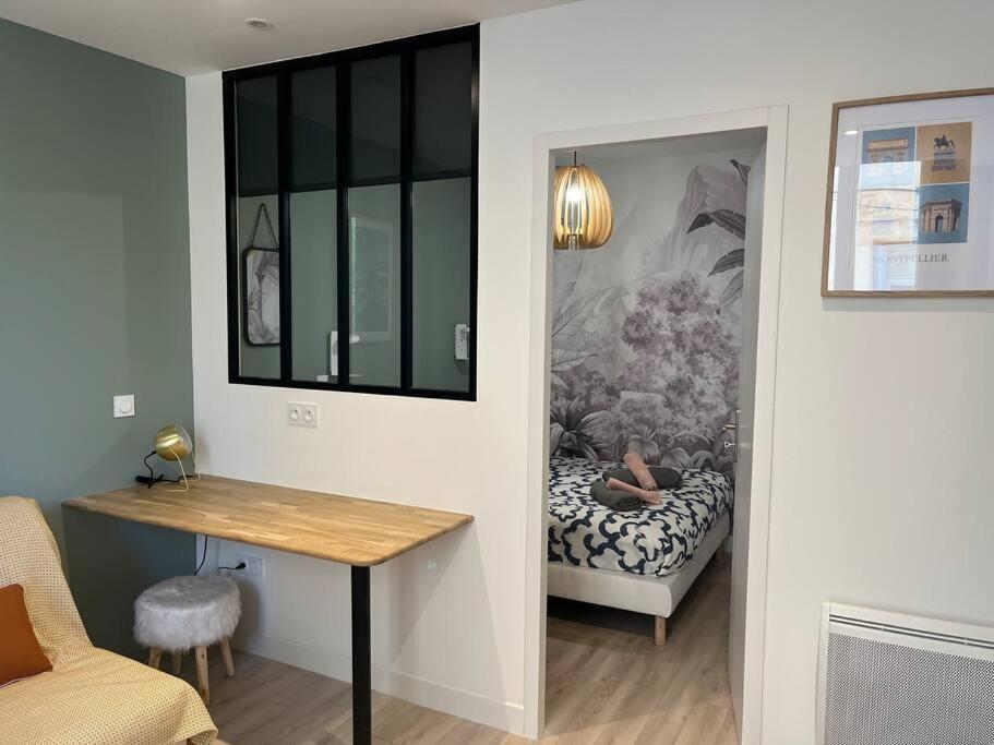 Apartamento Cocon Ecusson Montpellier Exterior foto